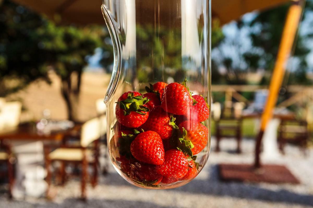 Il Montelletto Bed & Breakfast Santa Luce Exterior foto